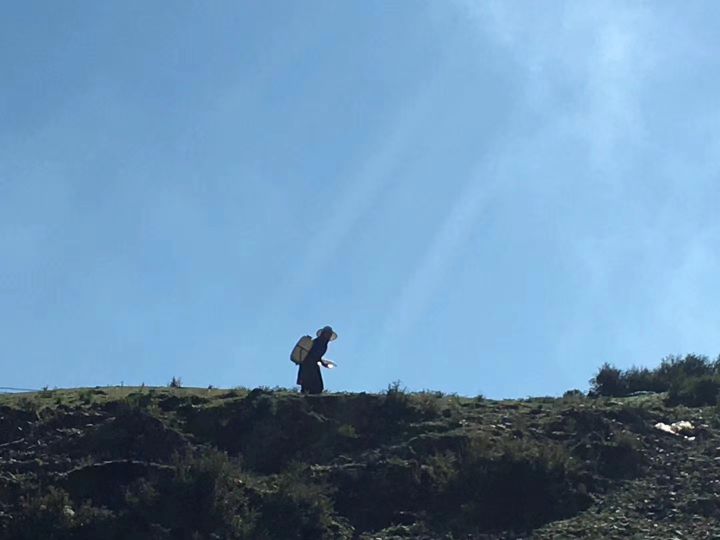 青藏高原原创版,歌曲翻唱青藏高原