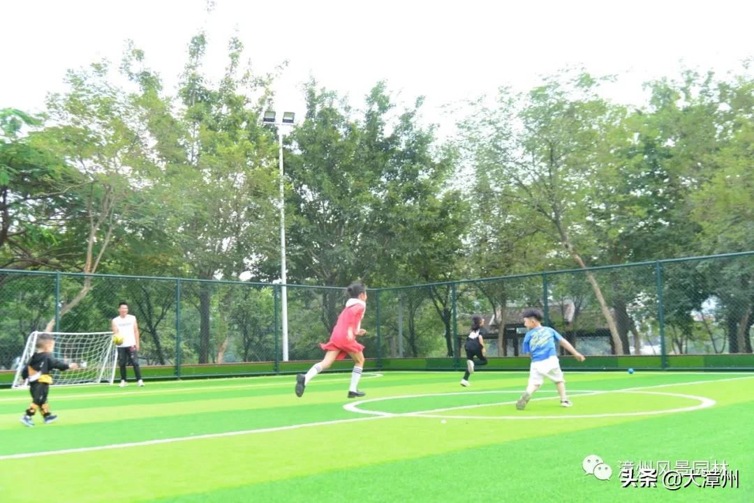 市区这8大公园“魔幻”变身！增添了游乐区、沙坑、足球场、彩绘墙....