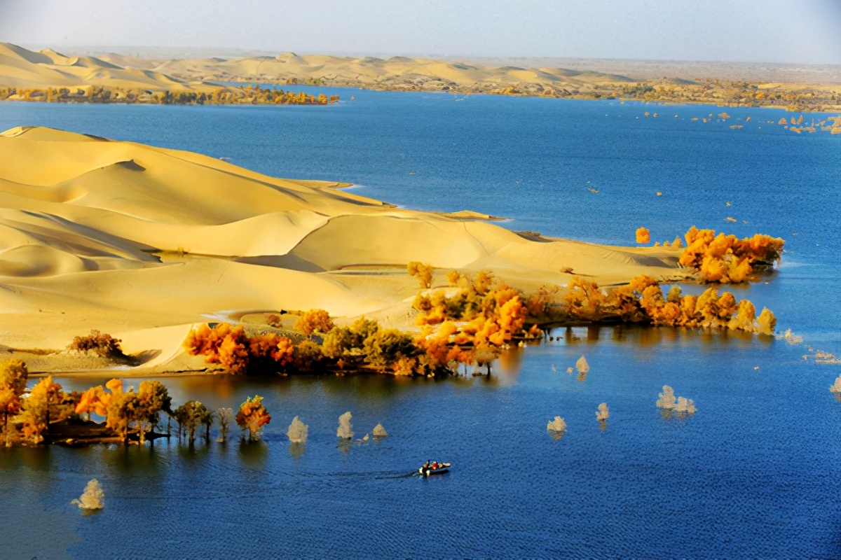 艺术家朗诵不朽的胡杨,千年不朽的胡杨