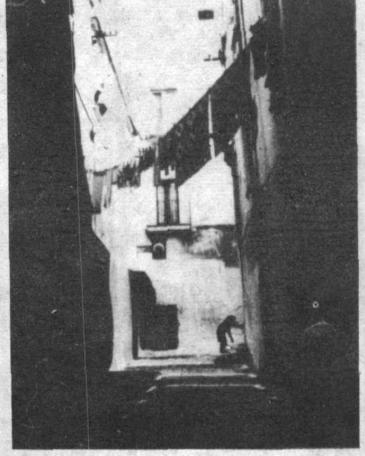 建筑论文写作,必不可少的7本书籍!一定对你有所启发