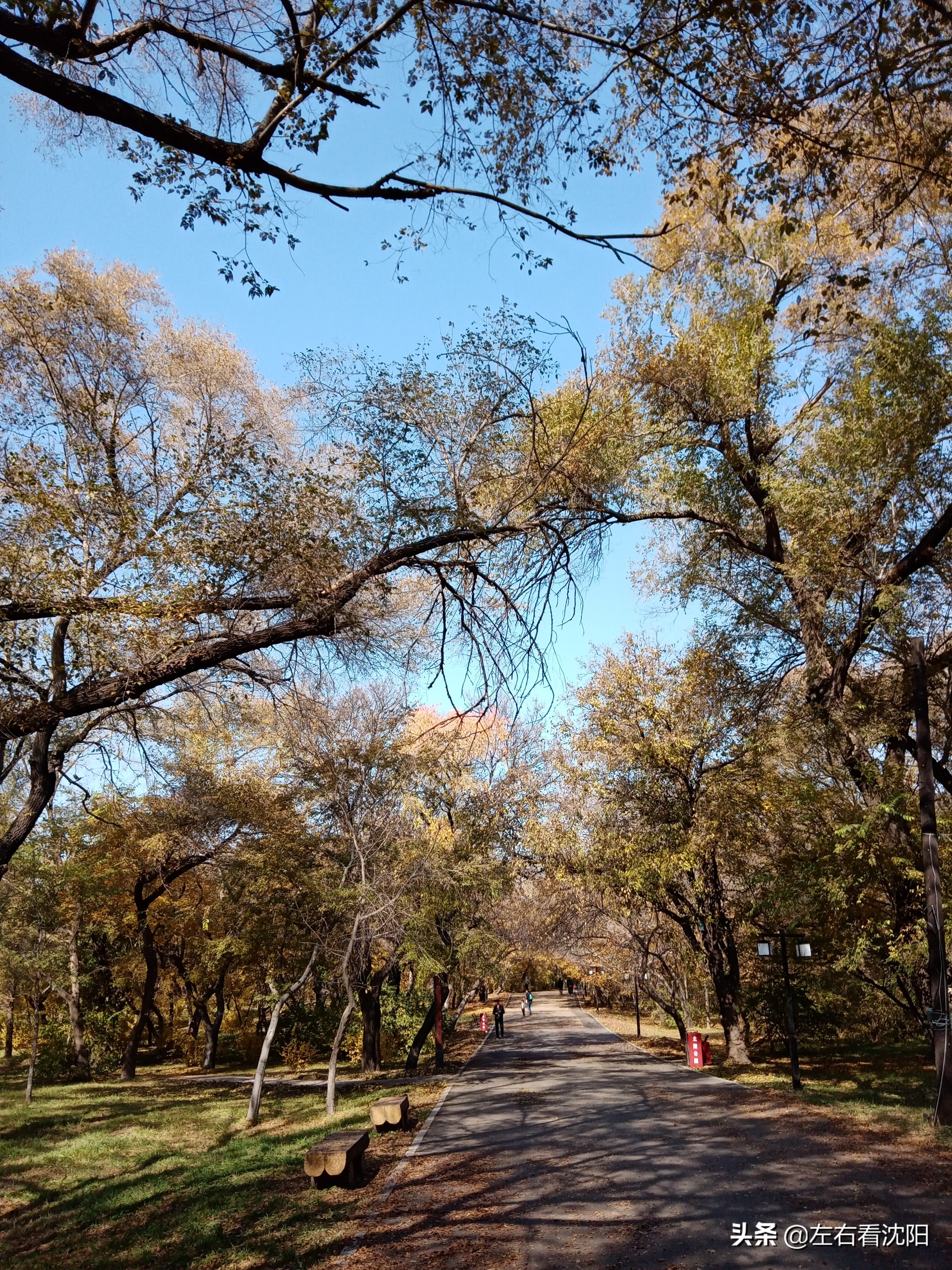 秋季沈阳北陵公园有啥好玩的,漫步沈阳北陵公园湖水边