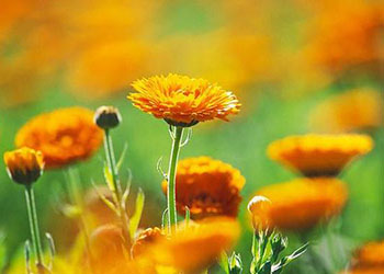 韩束亮光抗皱,韩束新款塑颜舒缓淡纹抗皱礼盒