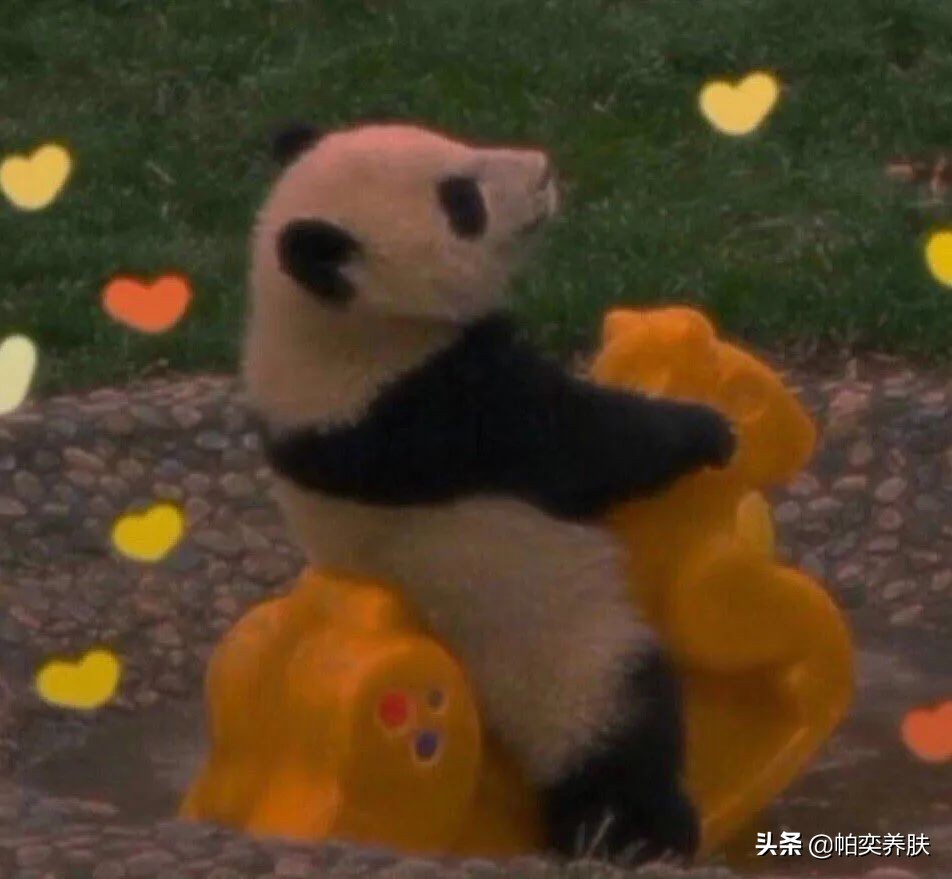 各种肤质特性与护肤要点,帕奕