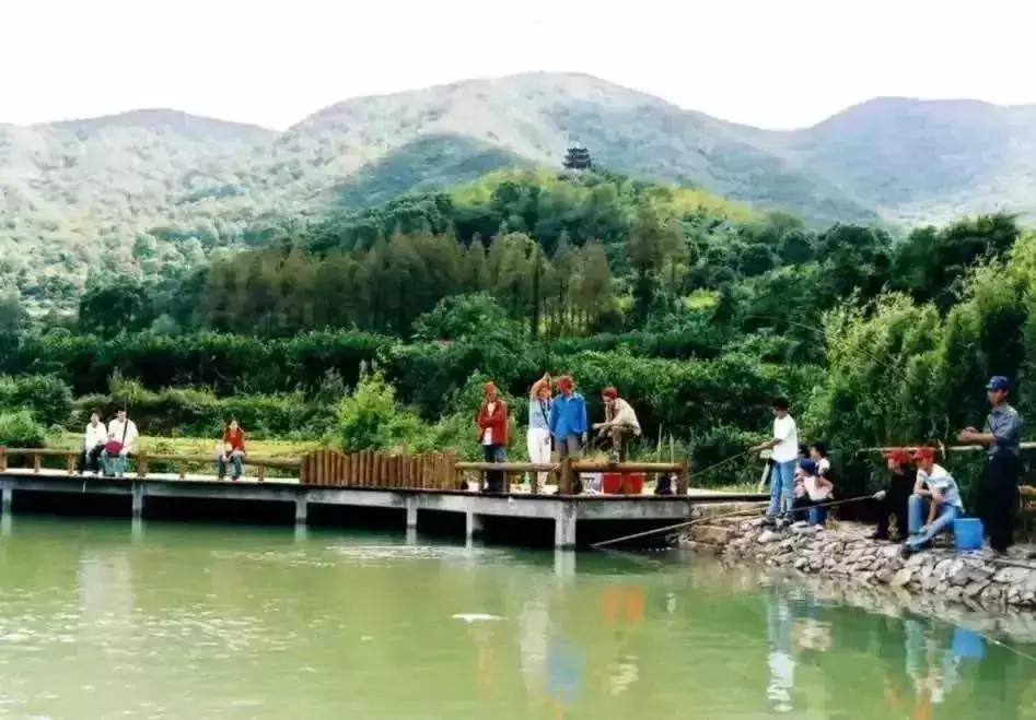 趣味徒步行,浙江趣味徒步定向挑战