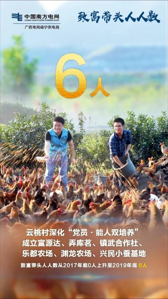 国网辽宁电力扶贫带货,电力扶贫带货记