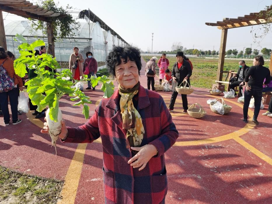 推进民生养老打造乡村振兴示范村,我为群众办实事与乡村振兴相结合