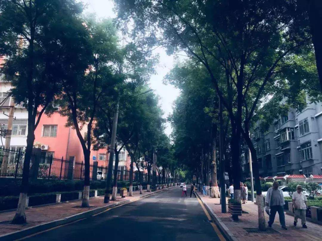 太原老街老巷和文化景点,太原最美的道路视频