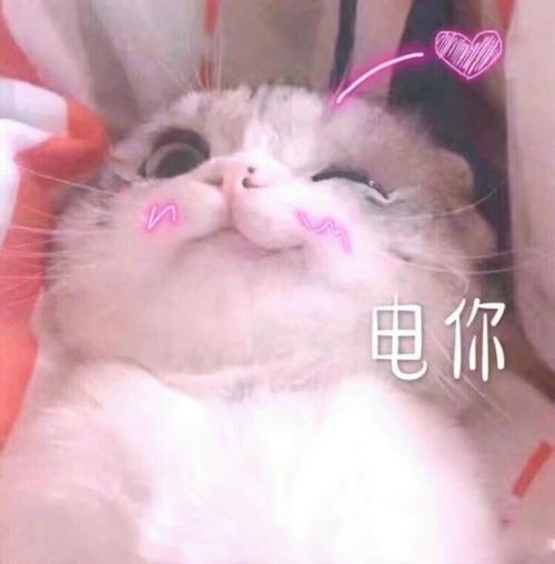 年度最爱彩妆口红推荐哪款,年度最爱口红大牌