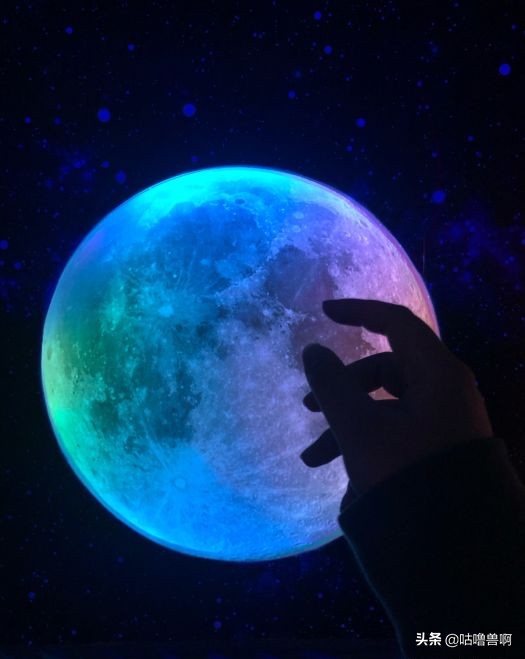 带你发现上海超治愈打卡地,上海人不会推荐的地方