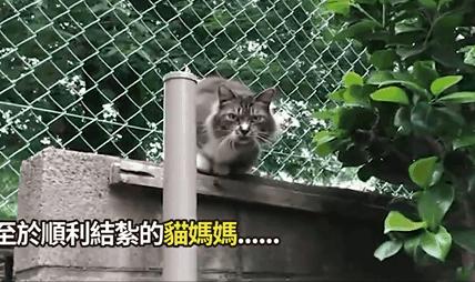 男子报警21岁喜当爹,男子喜当爹做了一件荒唐事