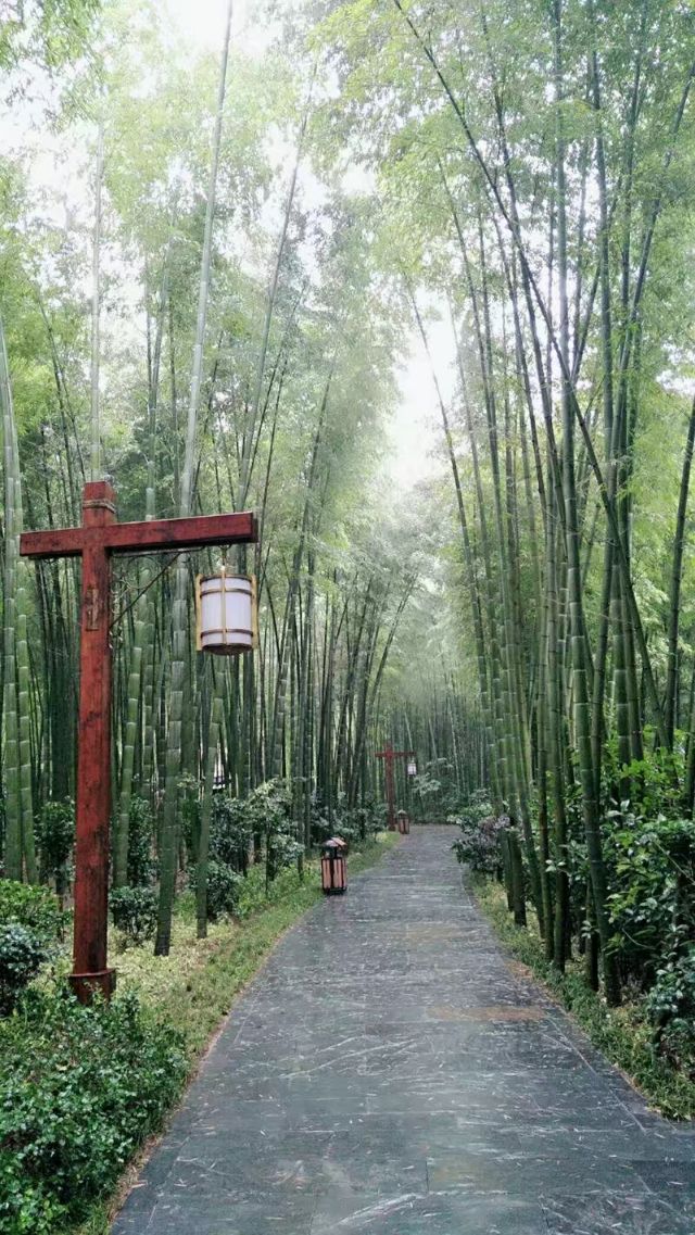 南山竹海和宜兴竹海哪个值得去,国家4a级景区多少个