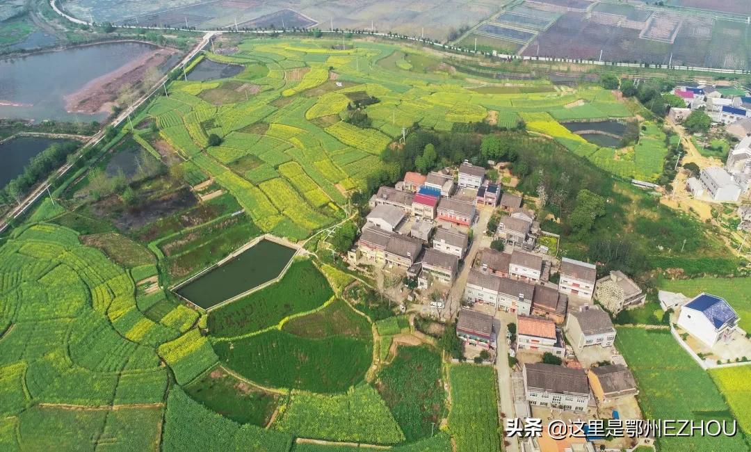 快看,又有顶级合伙人加盟鄂城