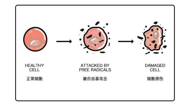 澳洲骨科执业医师，建议患者少吃米面糖，竟然被幕后黑手组织*害迫**