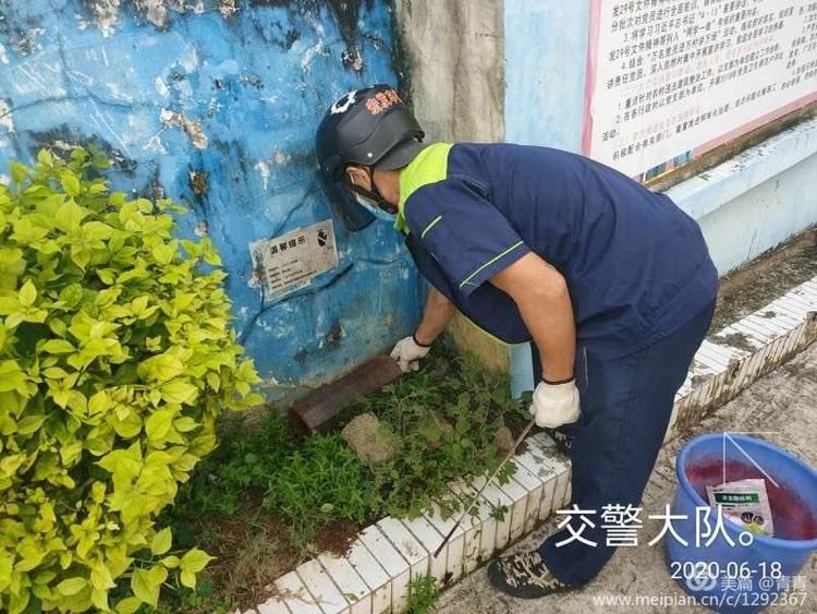 乐东县爱卫服务中心组织专业技术人员对县城各办公区和公共场所进行灭蚊防病除四害消杀