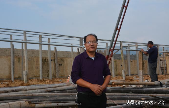 大棚桃怎么提高品质,种大棚桃子有前景吗