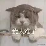 舞蹈生怎么练后手翻8-12岁,舞蹈生瘦手臂训练