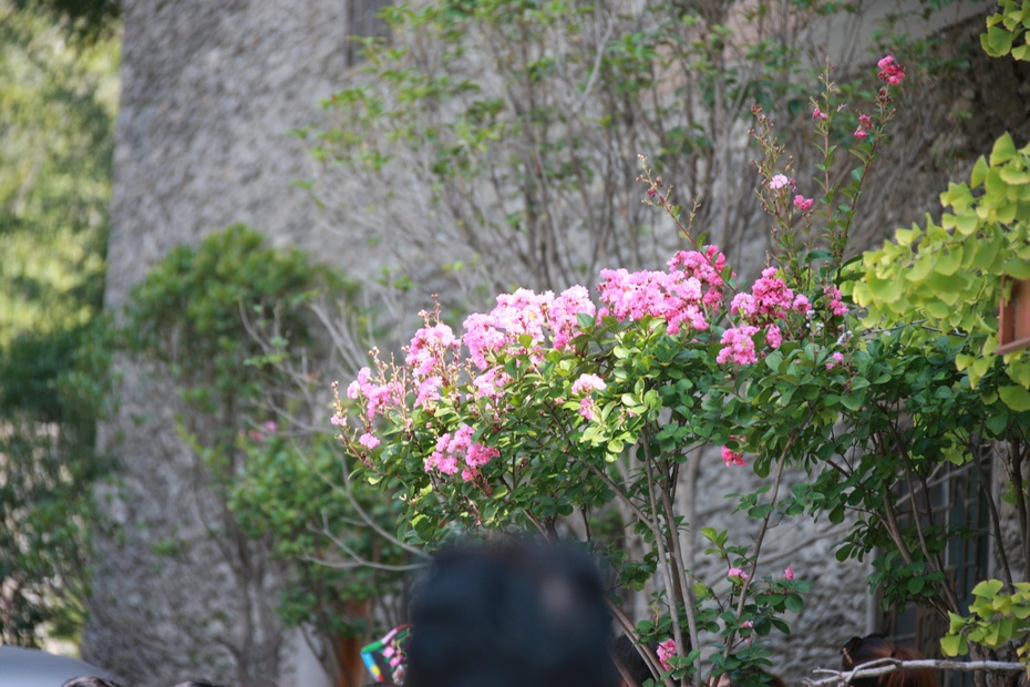 米亚罗-大美理礼县