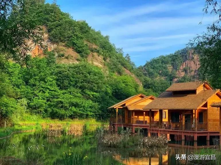 粽情端午免费,端午粽情团购