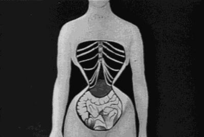 束腰带到底能不能瘦腰,束腰带真的能瘦腰吗