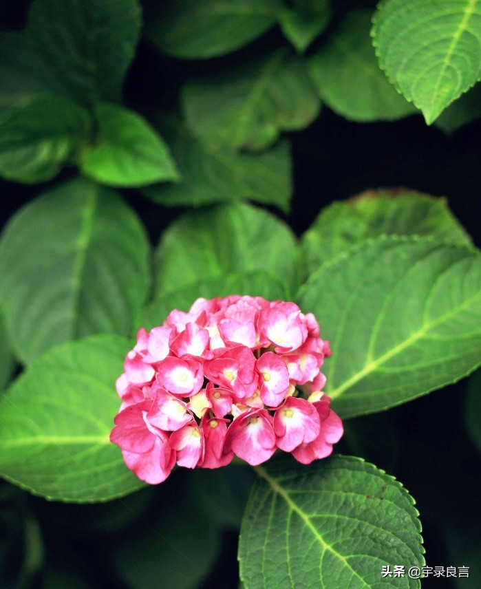 简短精辟的个性签名语录,个性签名经典语录精辟的短句