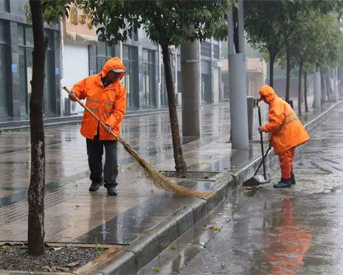 拳力以赴张伦硕辰亦儒,拳力张大大