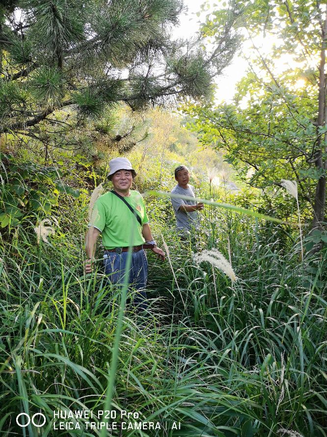 去墟沟最好玩的地方,到墟沟站后该如何到海边