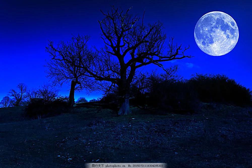 月是故乡明抒情散文,月是故乡明随笔