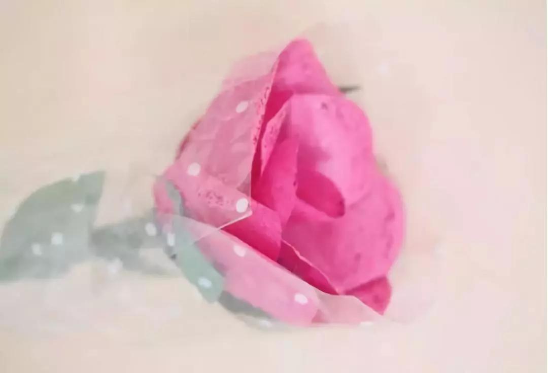 有颜色的玫瑰是怎么做出来的,白玫瑰怎么做七彩玫瑰