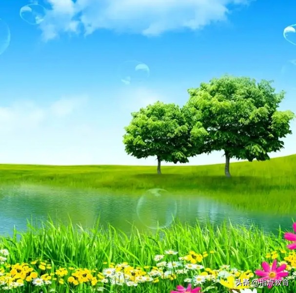 成都中考语文字音字形考点,中考语文复习字音