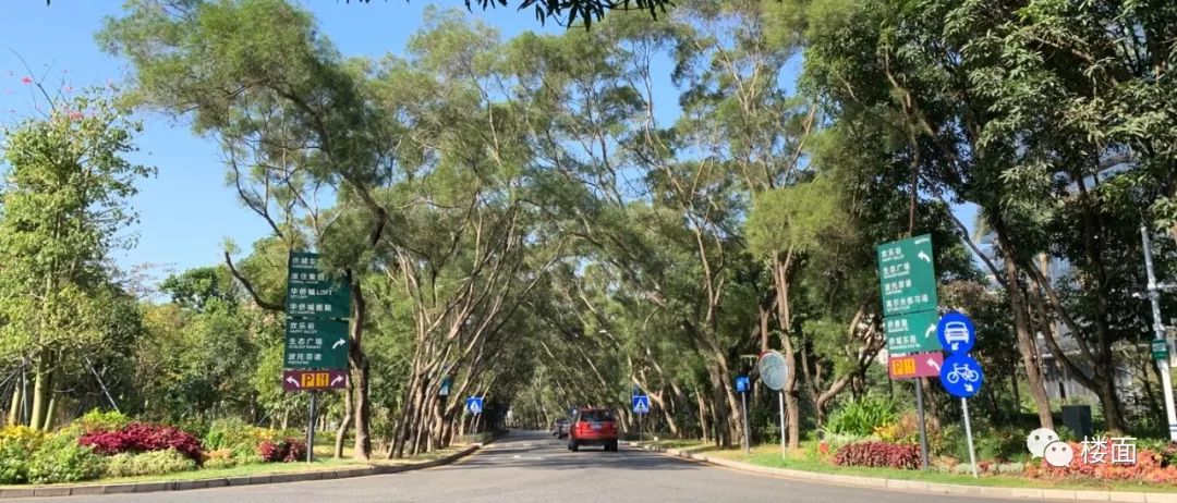 深圳华侨城的历史,深圳华侨城变迁史