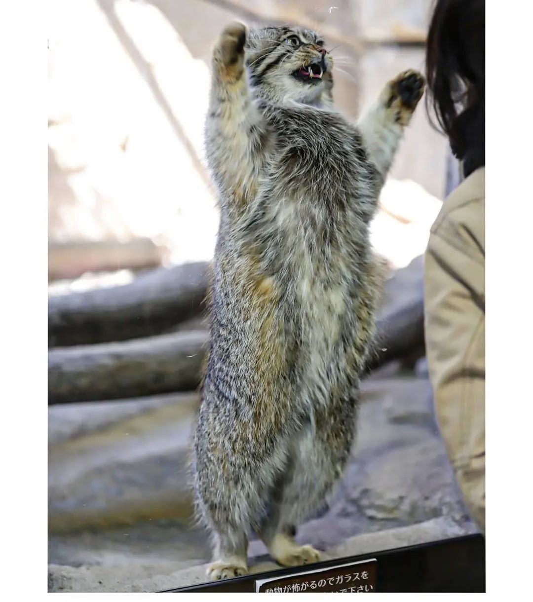 比刷花呗追星更可怕的，竟然是……