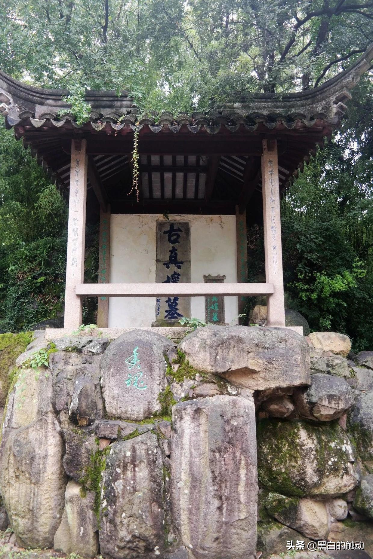 苏州除了拙政园还有哪个园林最好,苏州哪个园林最值得游玩