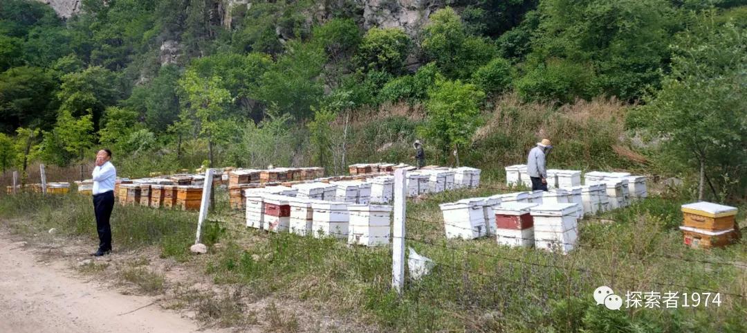 中国这个县“甜蜜事业从业者人数”排第一