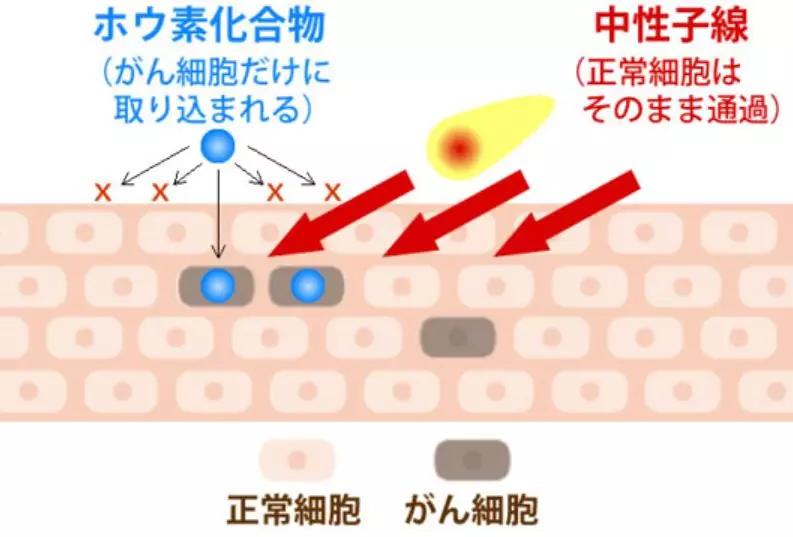 制定最适合肿瘤患者的抗癌方案,2021年肿瘤治疗指南