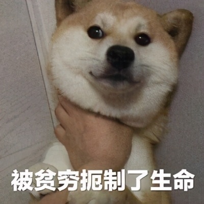 神武4电脑版打99级装备,神武4电脑版入坑