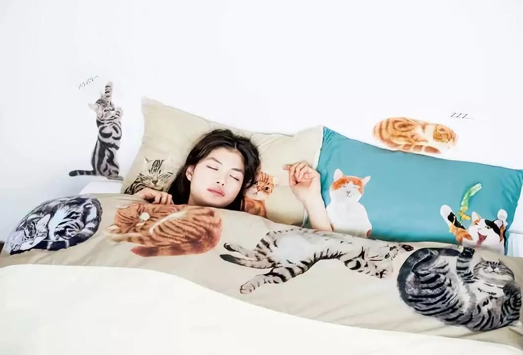 360度“云吸猫”？日本这家猫咪商店简直爱了