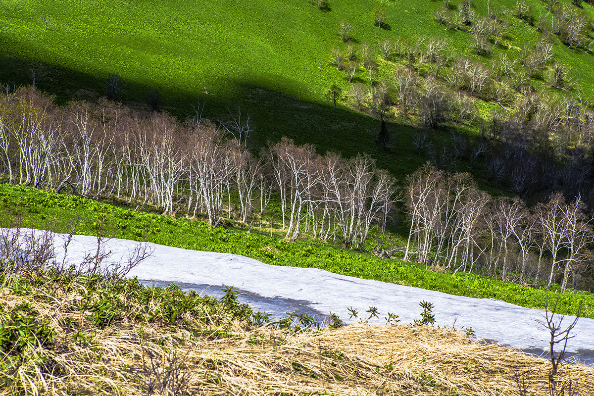 东北地区海拔最高的几座山峰,东北十大最高的山