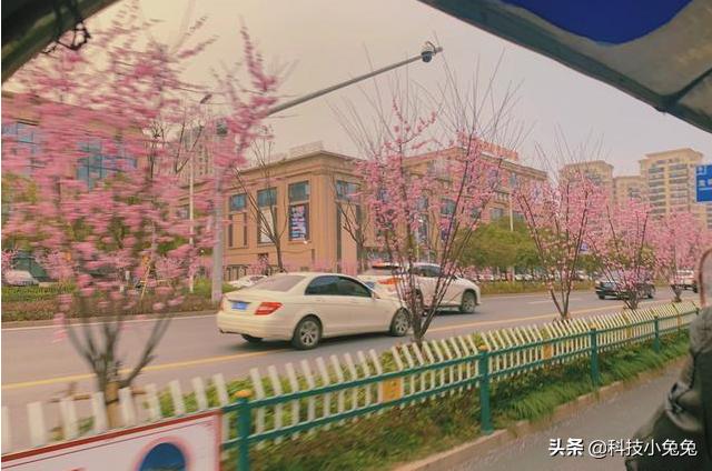 滴滴司机车主每天能挣多少钱,滴滴司机真实收入去哪里了