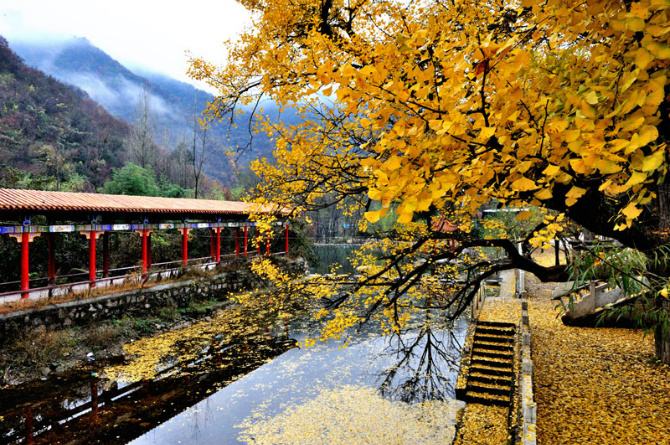 感恩节小班活动视频完整版,幼儿园小班感恩节护蛋活动教案