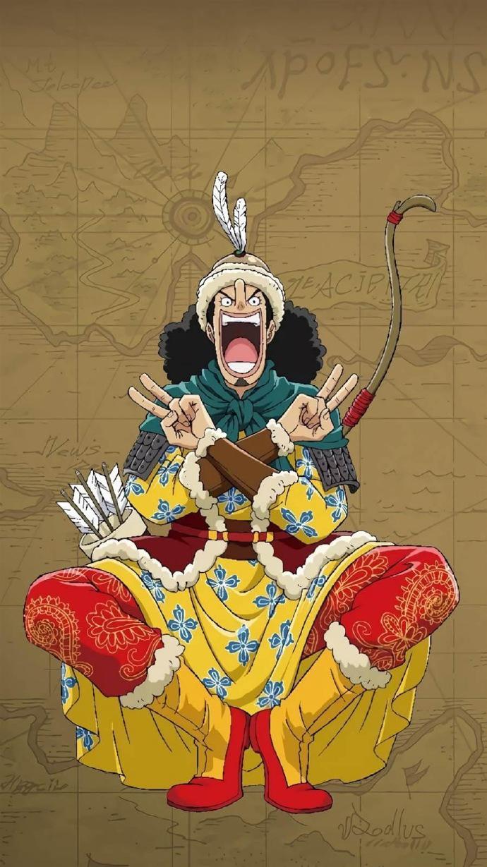 海贼王罗宾和服片段,海贼王罗宾的服饰