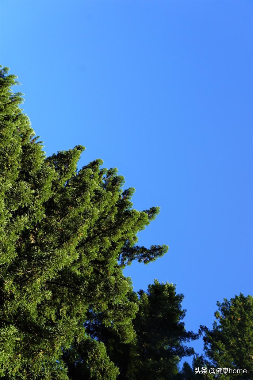 新西兰霍比特人村攻略,新西兰霍比特蓝泉一日游