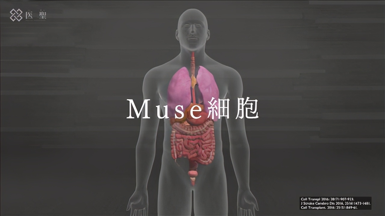 日本对新冠患者免费治疗,日本能治愈新冠重症患者吗