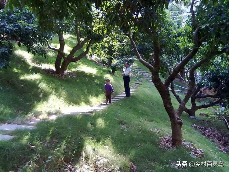 漫步在故乡的夕阳下,骑行漫步在乡间的小路上