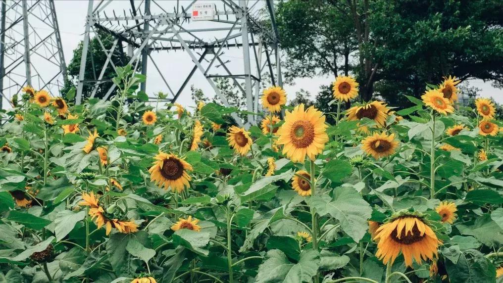 对不起我要去昭通了,对不起我要去西安了