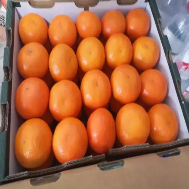 战疫七十二变出版,战疫时刻看中国