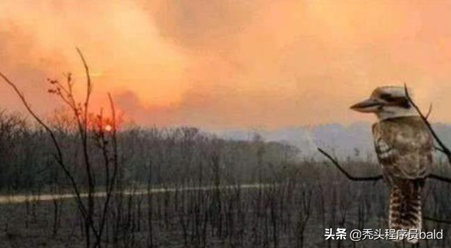 2020年全国哀悼现场视频,2010年全国哀悼日视频