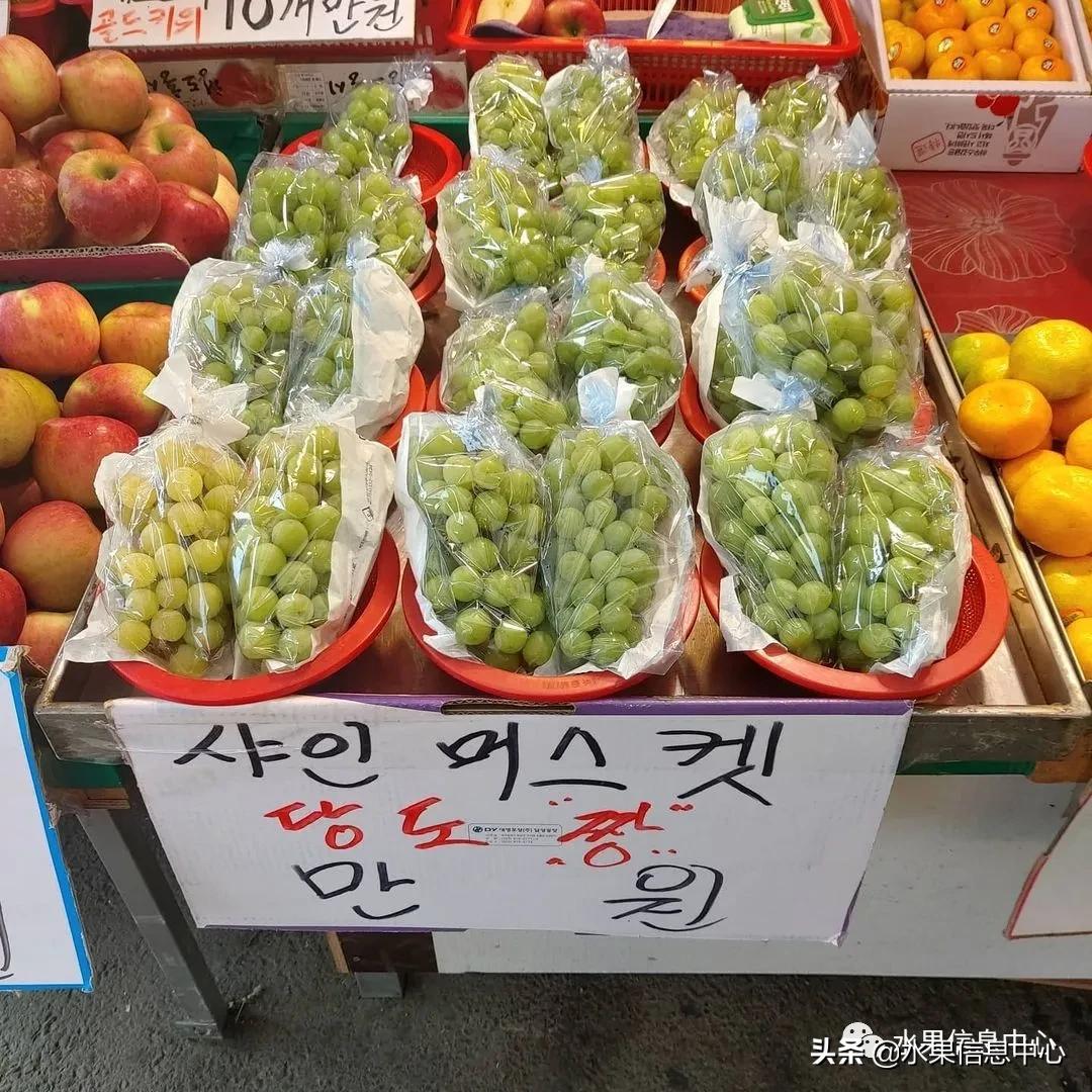 韩国的蔬菜水果批发市场,韩国最便宜的苹果水果