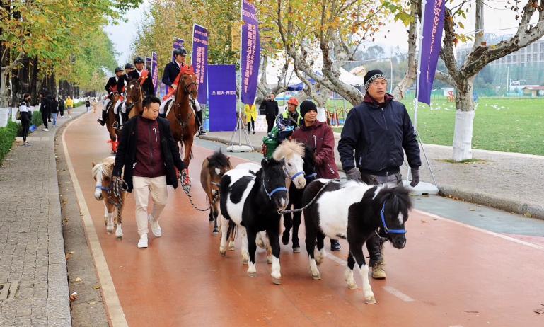 踏马滇池？百万名马乘骑等你来体验