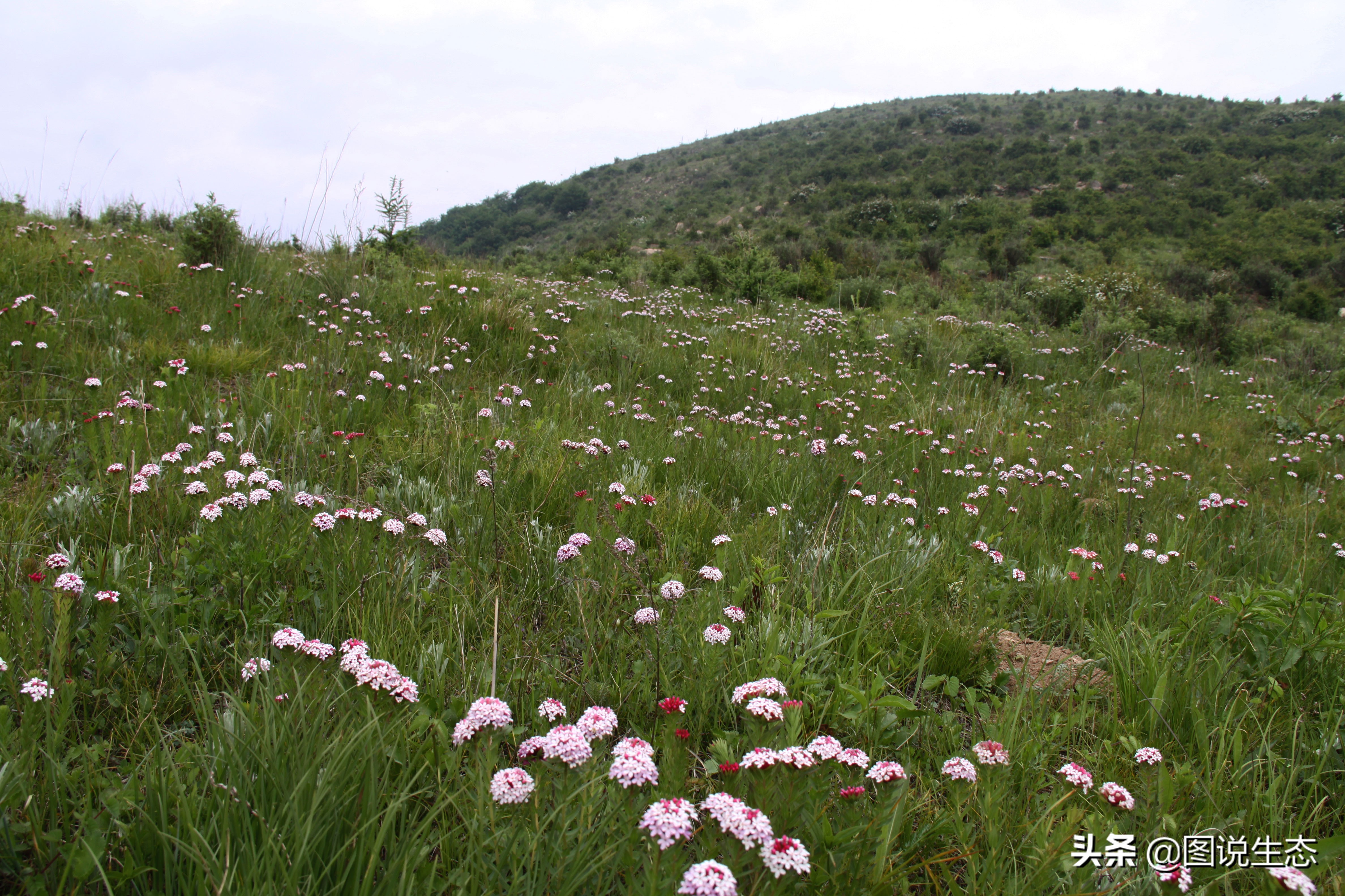 龙泉关风景区,阜平龙泉关自然村落
