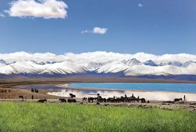 这条最“咸”最彩的公路,治好了我*藏西**的病,解掉了我*疆新**的毒